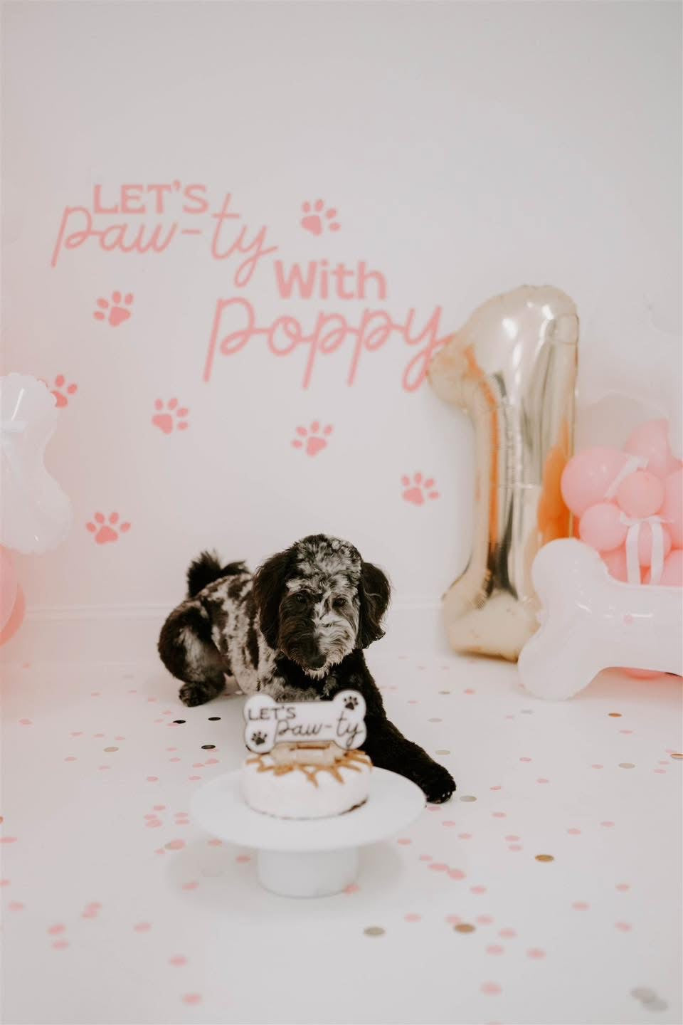 Let’s Paw-ty Dog Bone - Cake Topper